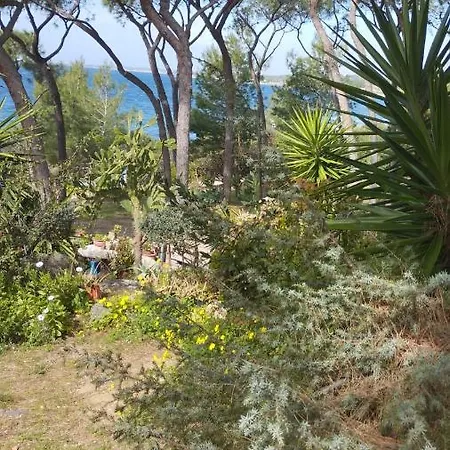 Cettina 3 Mt 50 Dal Mare